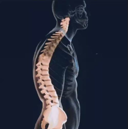 Correcteur de posture Écran smartphone et Bureau